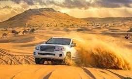 Desert Safari